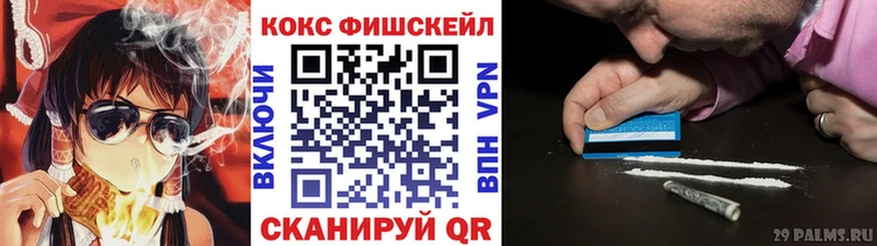 COCAIN FishScale Коряжма