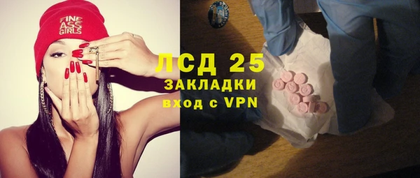 хмурый Белокуриха