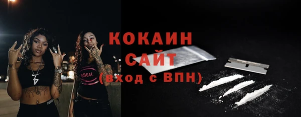 хмурый Белокуриха
